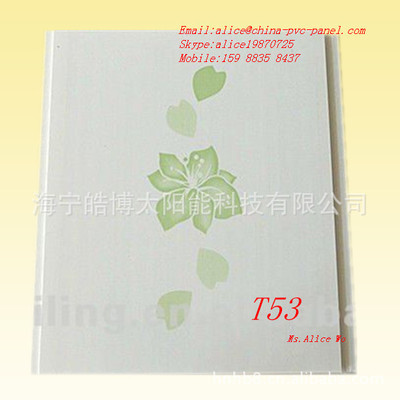 【T53 绿叶印花20公分宽的PVC塑料扣板,室内装饰天花板PVC PANEL】价格,厂家,图片,其他吊顶材料,海宁皓博塑胶科技-